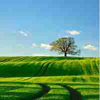 百‌度﻿一‌下﻿图​片‍识﻿别​百‌度​